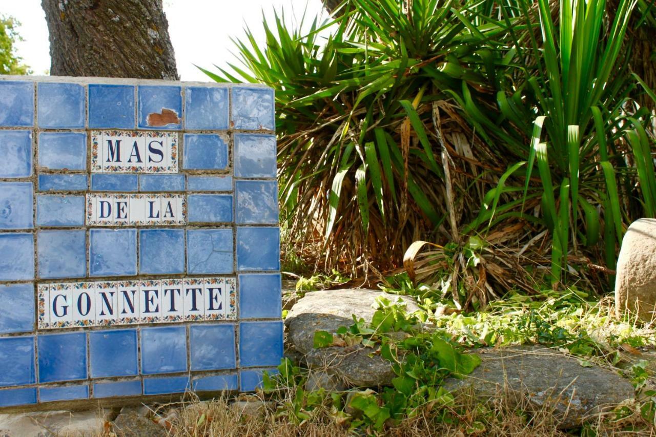 Vila Mas De La Gonnette Venasque Exteriér fotografie